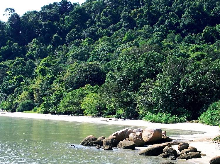 Penang National Park