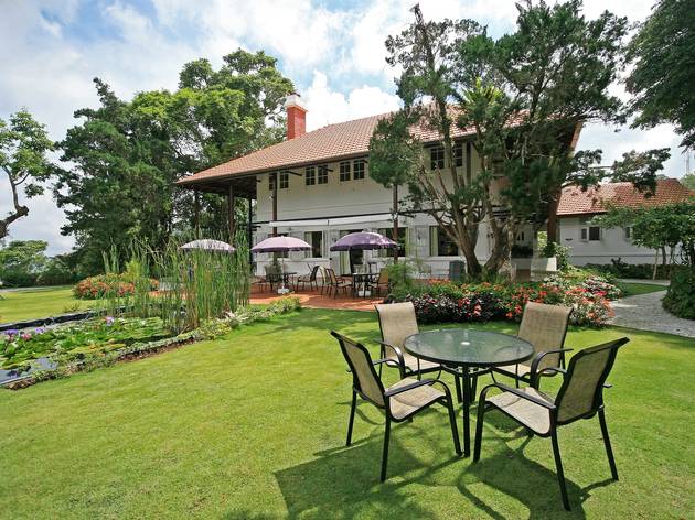 David Brown’s Restaurant and Tea Terrace David Brown’s Restaurant and Tea Terrace
