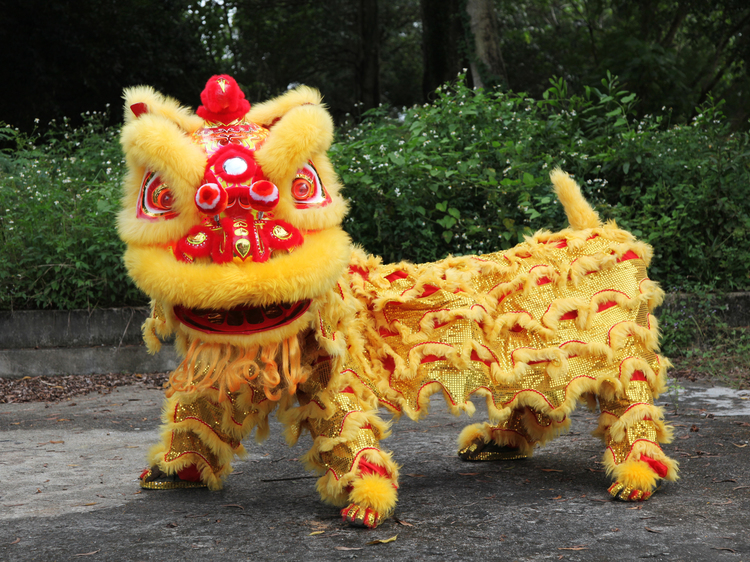 Lion dance