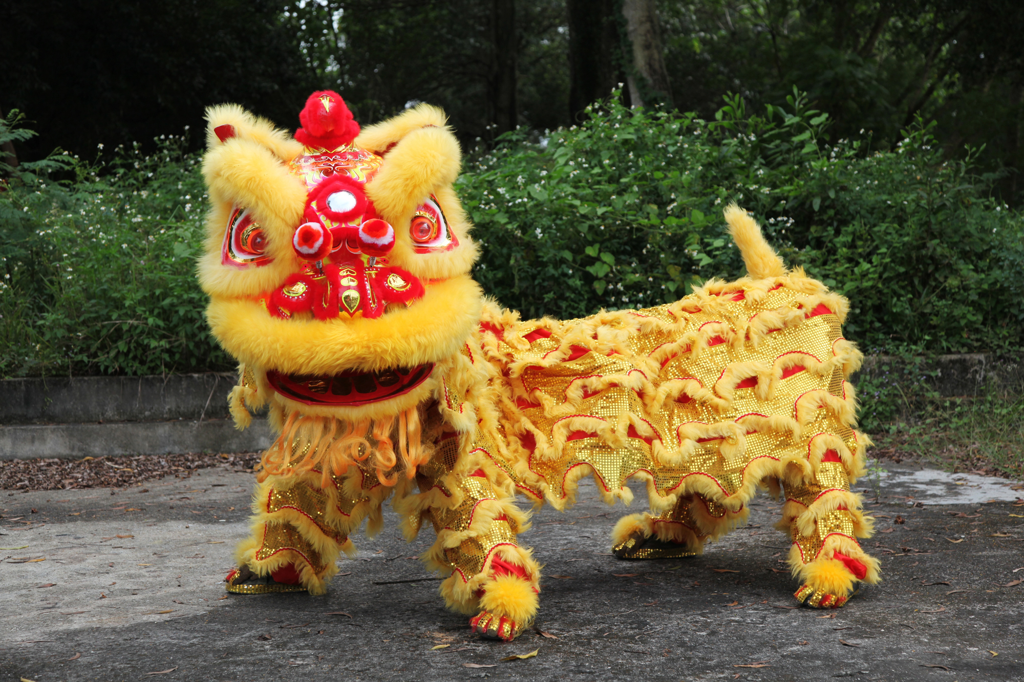Past and future: Chinese lion dance in Penang