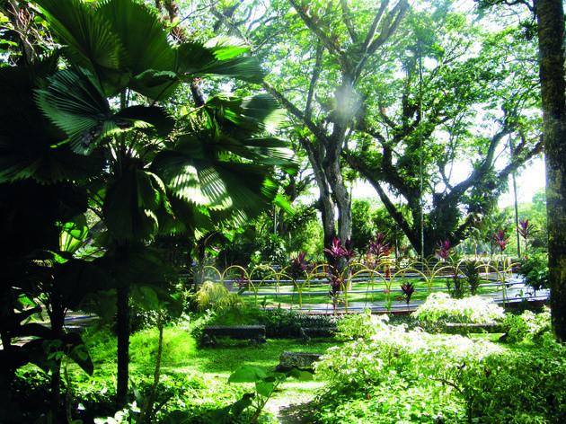 Penang Municipal Park Penang Municipal Park