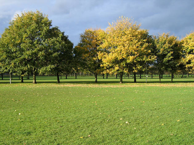 Take a stroll through the Meadows Take a stroll through the Meadows