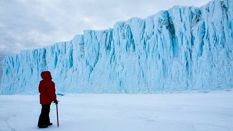 Antarctica: A Year On Ice screening