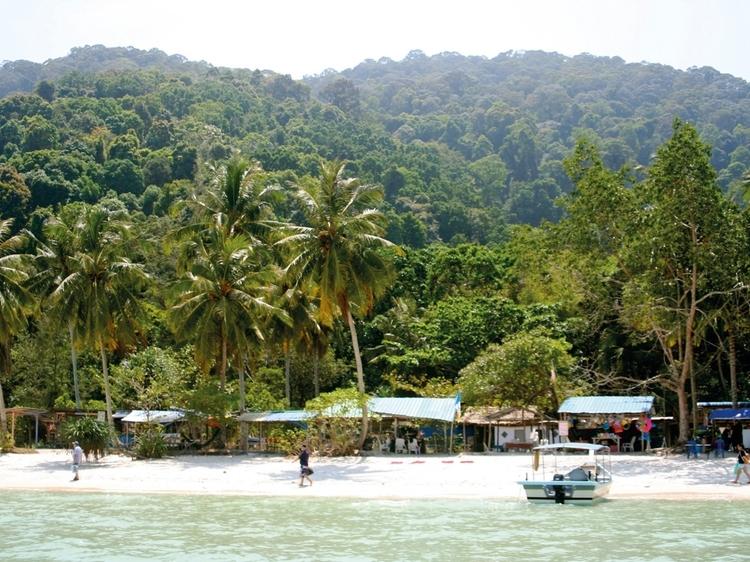 Teluk duyung