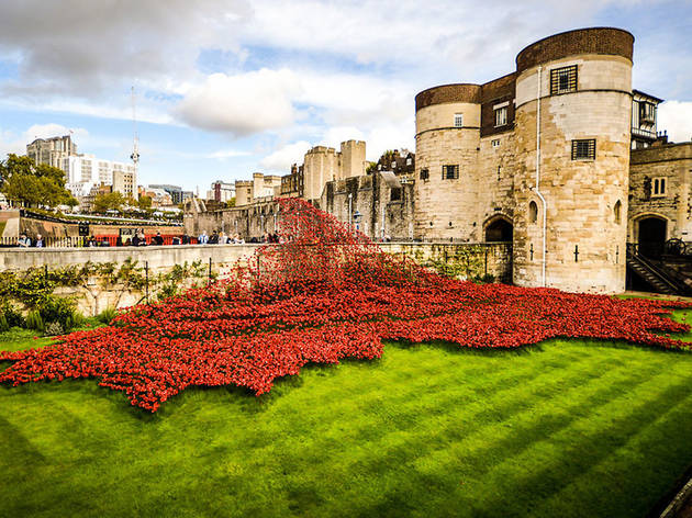 40 powerful pictures of the Tower of London poppies 40 powerful pictures of the Tower of London poppies