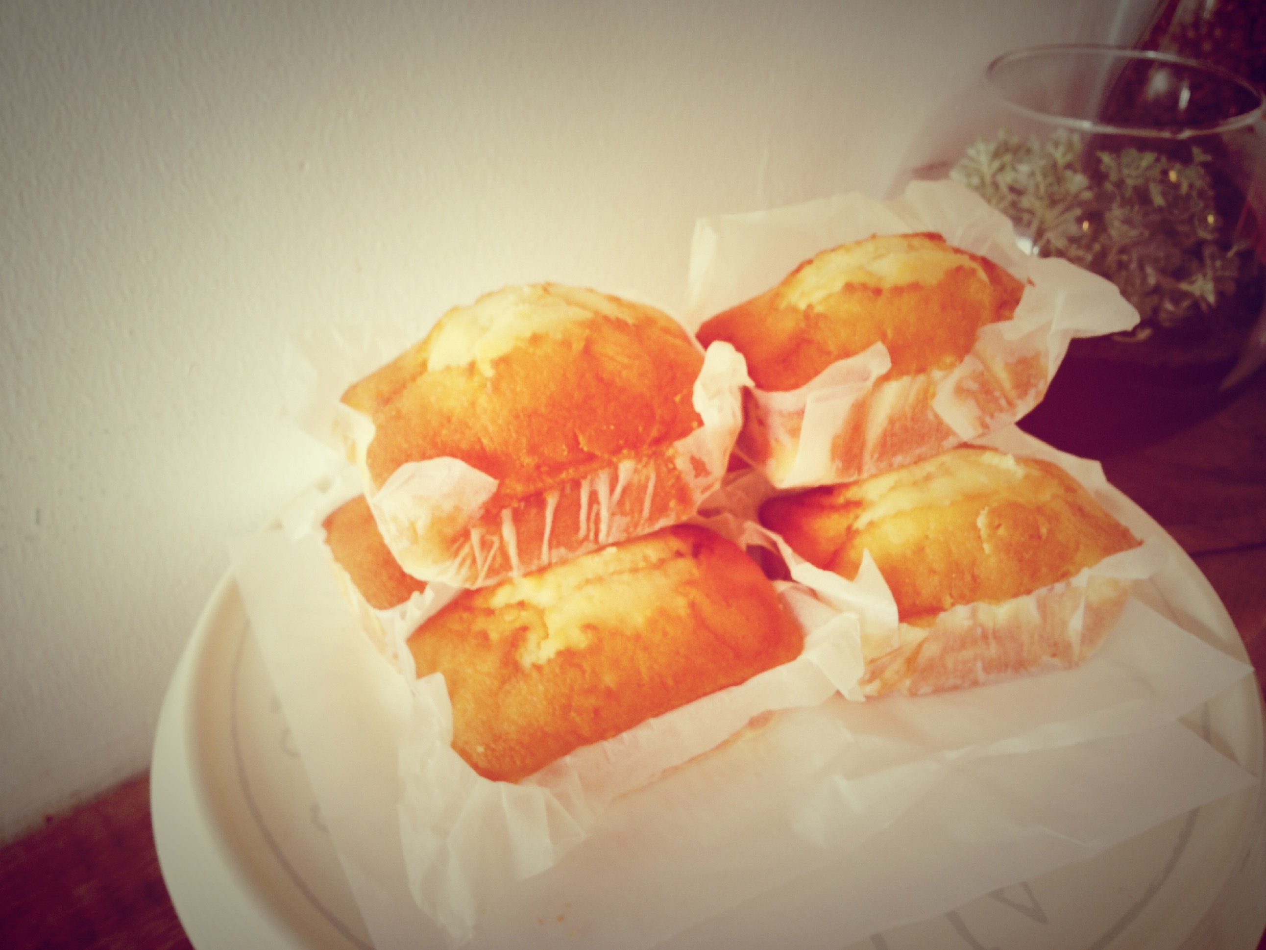 Camden area guide Find things to do in Camden Time Out London