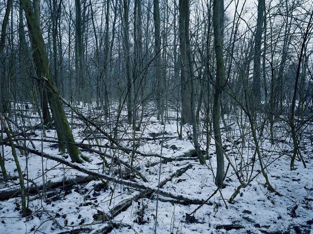 Chloe Dewe Matthews Chloe Dewe Matthews (From 'Shot at Dawn', 2013)