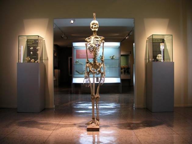 Museo Reverte Coma Museo Reverte Coma