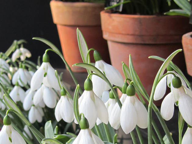 London events in February