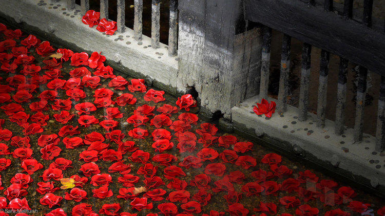 Remembrance Day