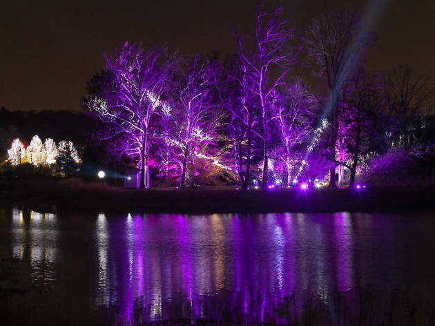 Morton Arboretum Holiday Lights Tree Lights at The Morton Arboretum