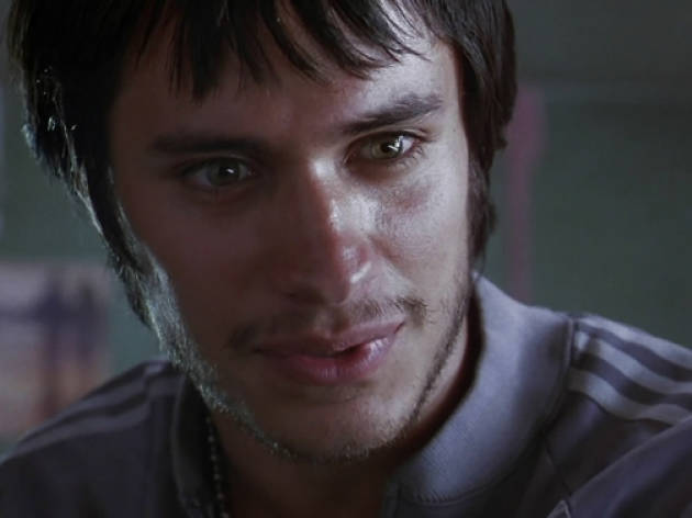Amores Perros Amores Perros