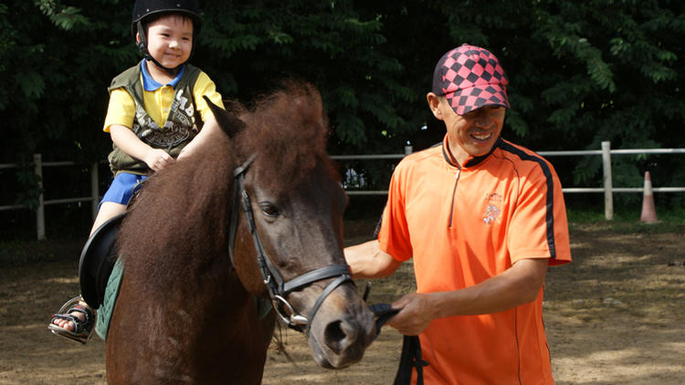 Ride a horse at Gallop Stable