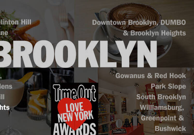 TOLNYA 2014, Crown Heights & Prospect Heights header