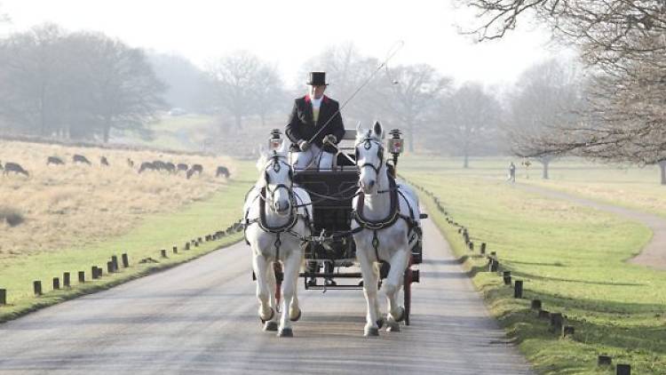 Horse-drawn carriage tours of Richmond Park