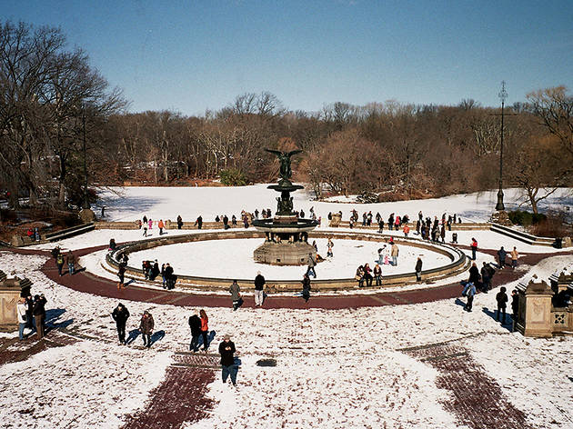 (Photograph: Courtesy Creative Commons/Flickr/Charley Lhasa)