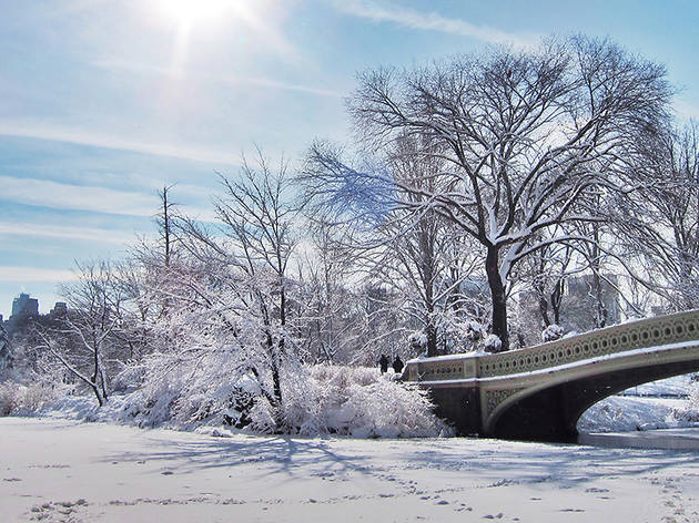 (Photograph: Courtesy Creative Commons/Flickr/Yok Sok Yun)