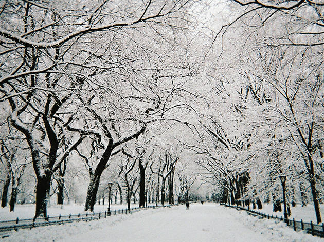 Gorgeous photos of New York in winter