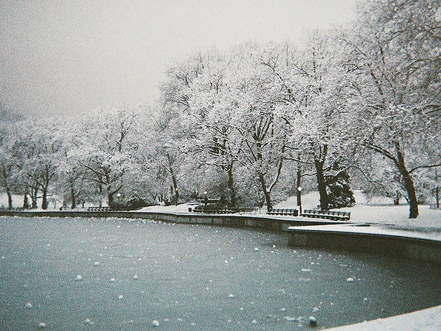 (Photograph: Courtesy Creative Commons/Flickr/Ralph Hockens)