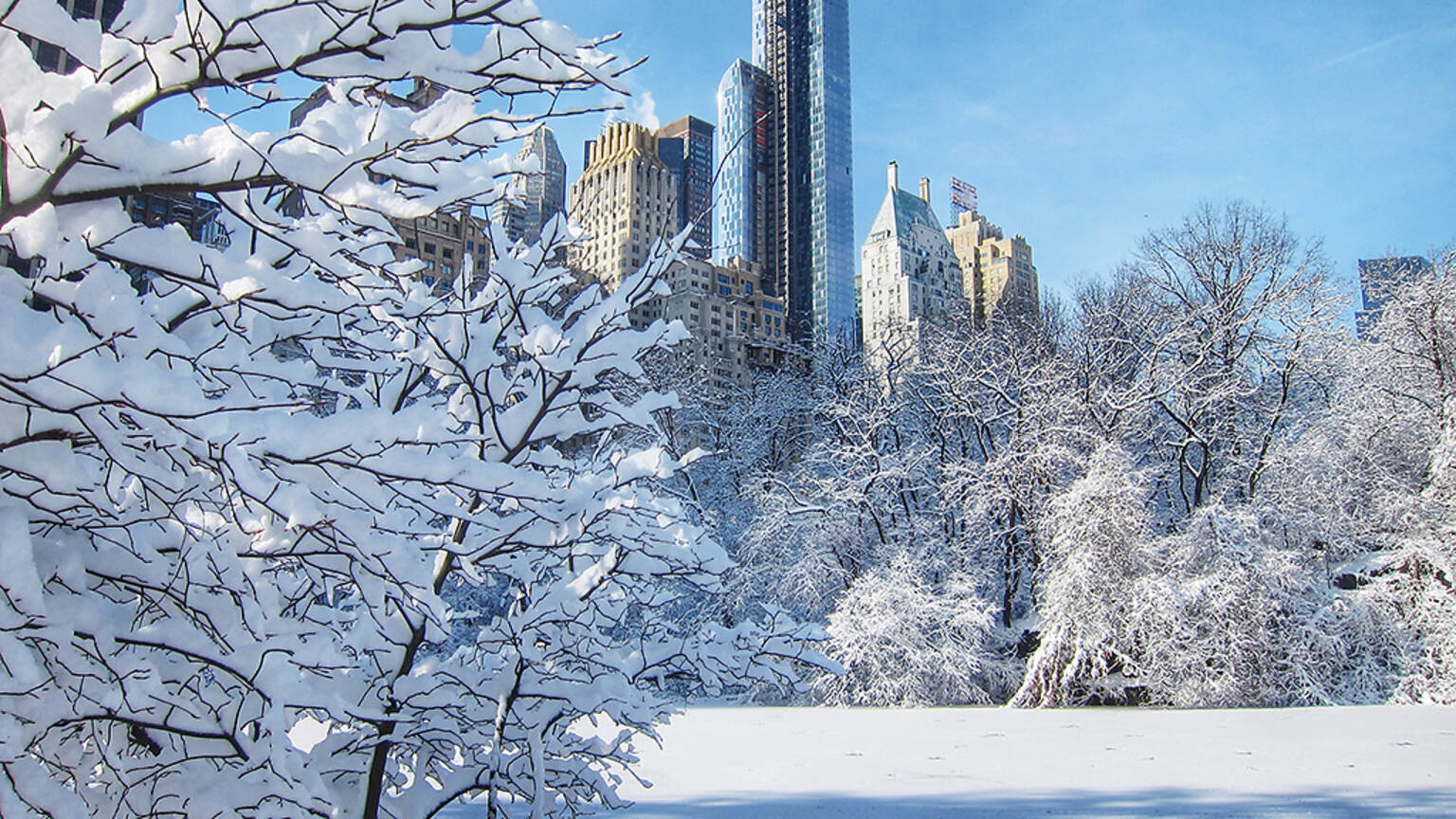 photos of New York in winter