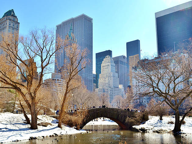 (Photograph: Courtesy Creative Commons/Flickr/gigi_nyc)