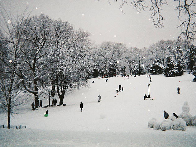 (Photograph: Courtesy Creative Commons/Flickr/Ralph Hockens)