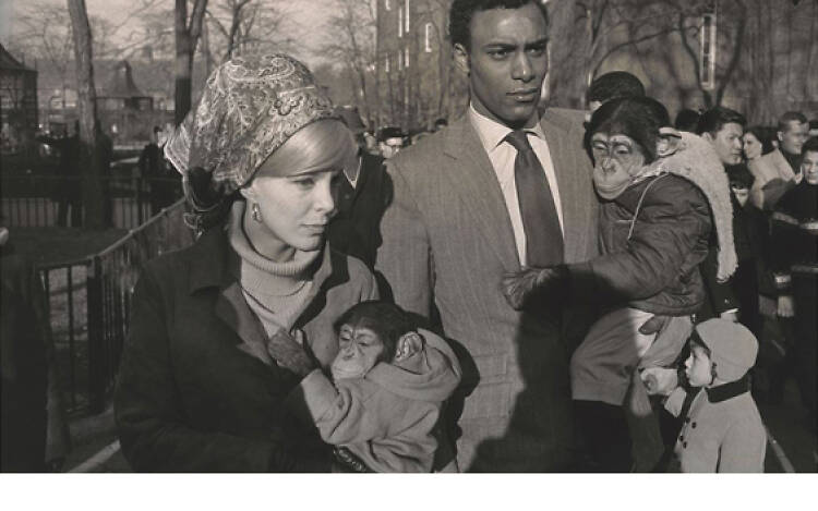 Garry Winogrand