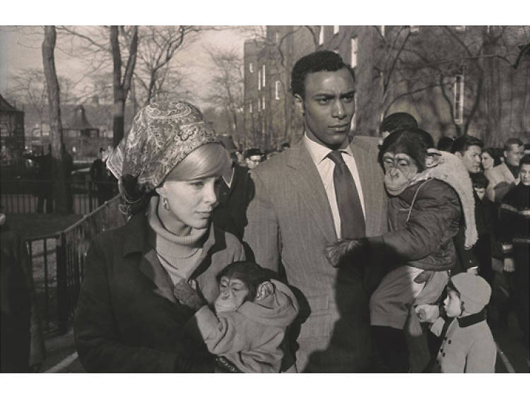 Garry Winogrand