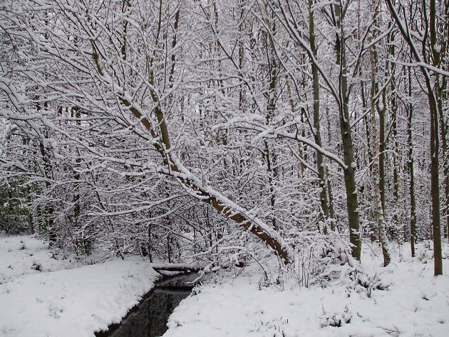 Walk off all the turkey and trimmings