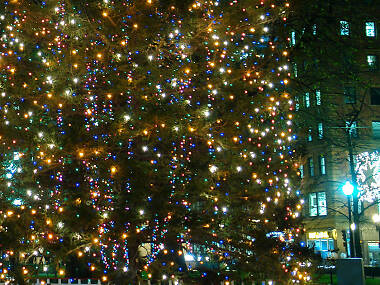Your guide to celebrating the holidays in Boston Your guide to celebrating the holidays in Boston