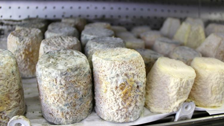 Fromages et ramage | Shopping in Montmartre, Paris