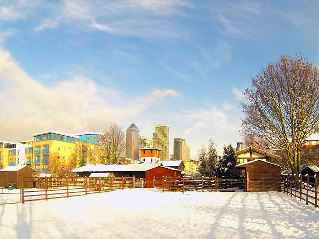 Surrey Docks Farm Christmas Fair