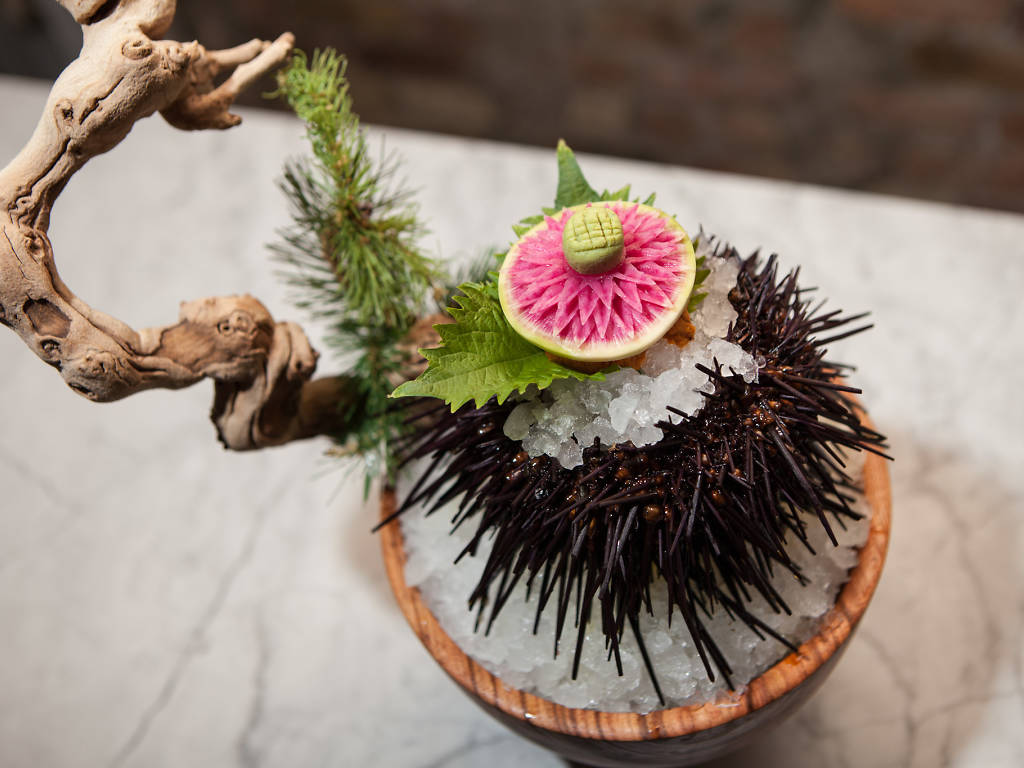 Best Sushi Chicago IL Restaurants You Must Try