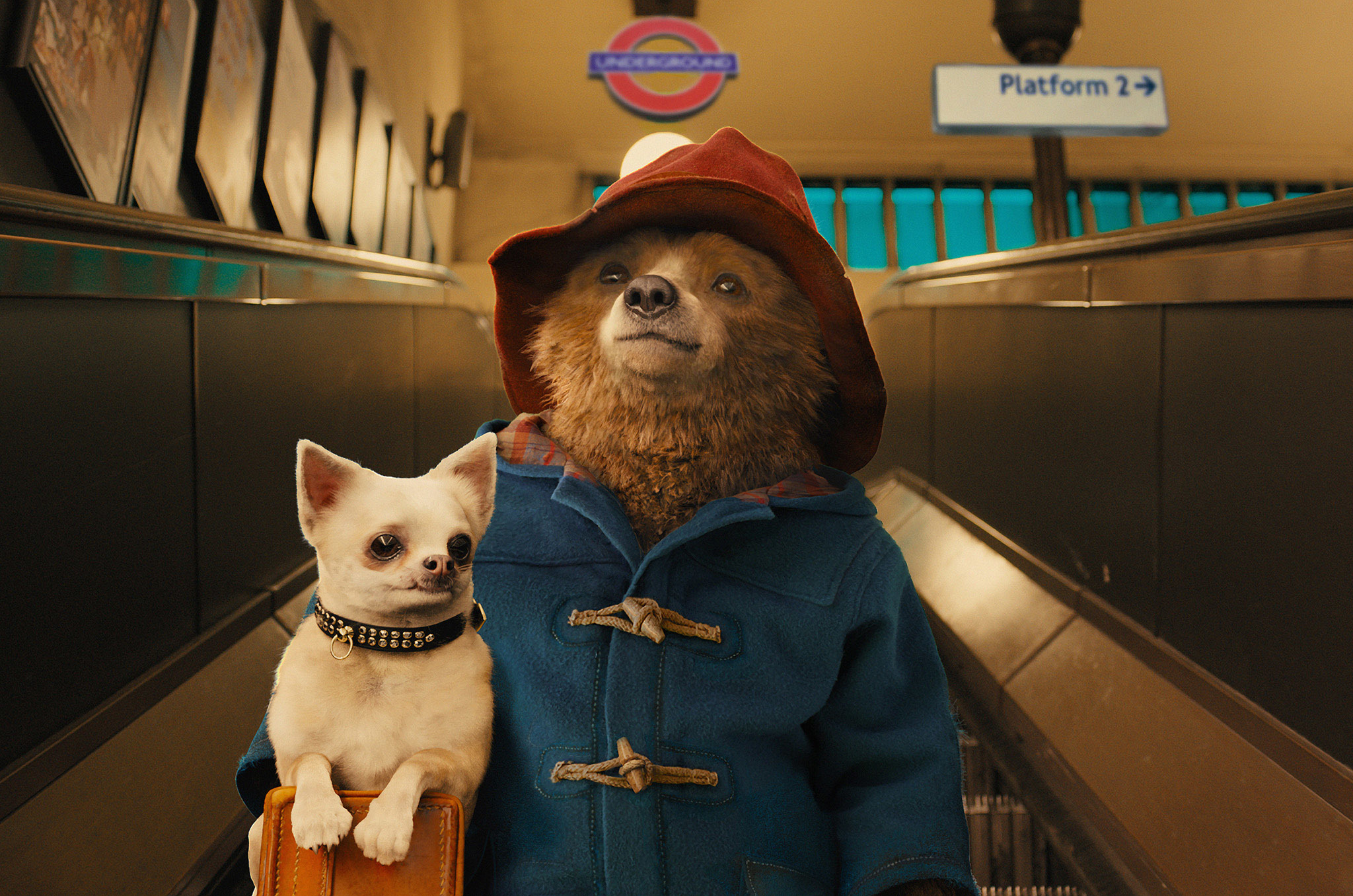 Paddington 2014, directed by Paul King Film review