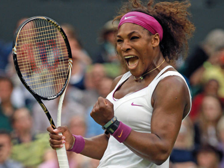 International Premier Tennis League International Premier Tennis League