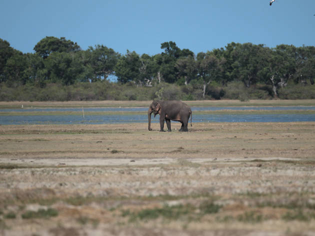 KumanaNational Park