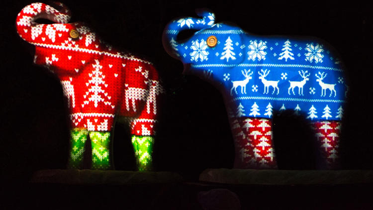 LA Zoo Lights.