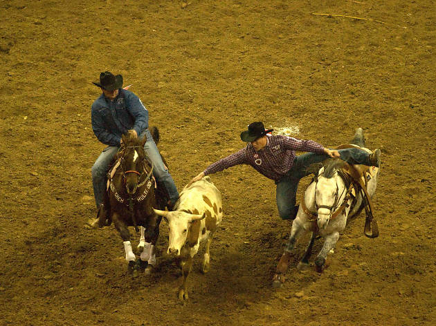 National Finals Rodeo National Finals Rodeo