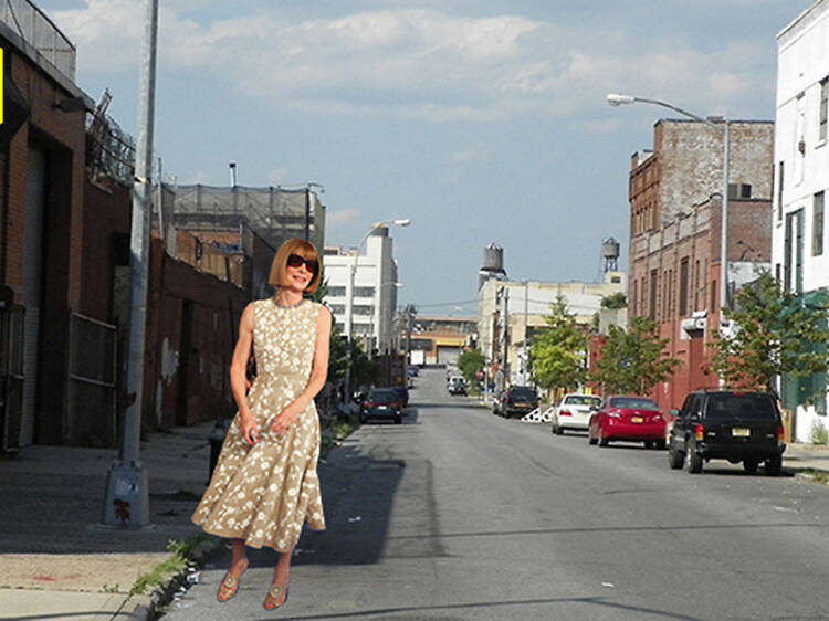 Photograph: Anna: Erik Pendzich/REX USA Bushwick: Courtesy Creative Commons/Flickr/Niklem