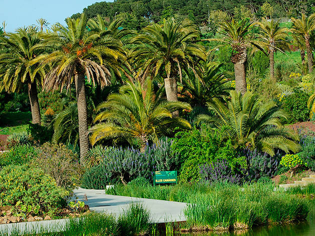 Jardí Botànic Jardí Botànic (© Greg Gladman / Time Out )