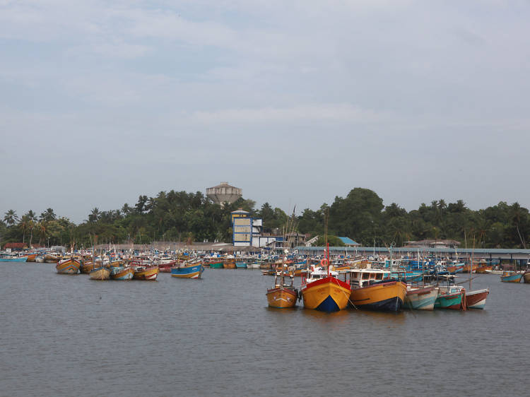 Beruwala Beach