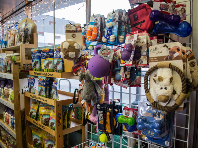 Pet stores in Chicago for dog leashes, cat collars and more