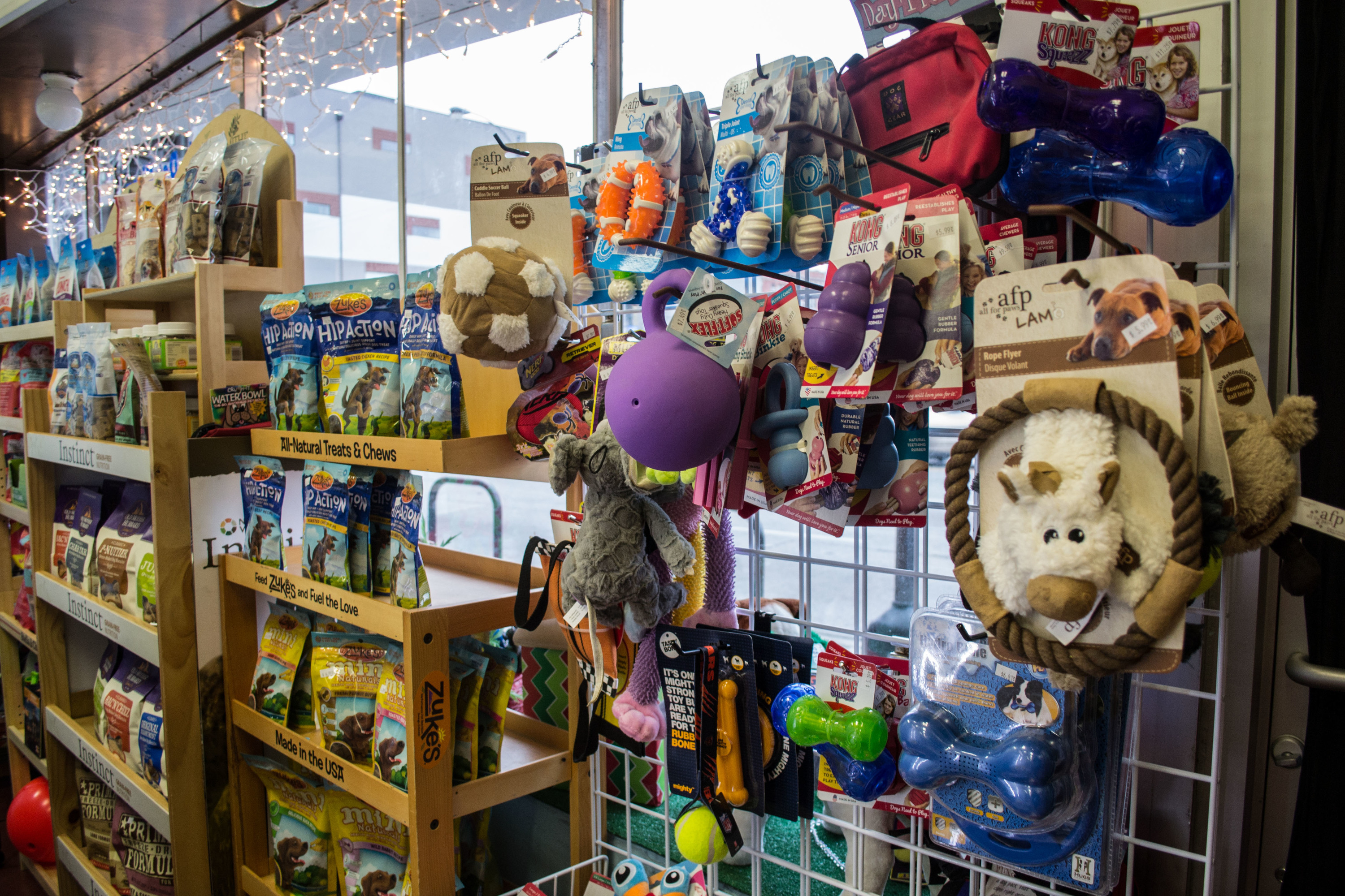 Liz's Pet Shop | Shopping in River West/West Town, Chicago