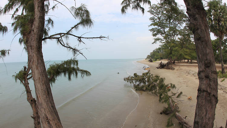 A scenic beach in the Jaffna District