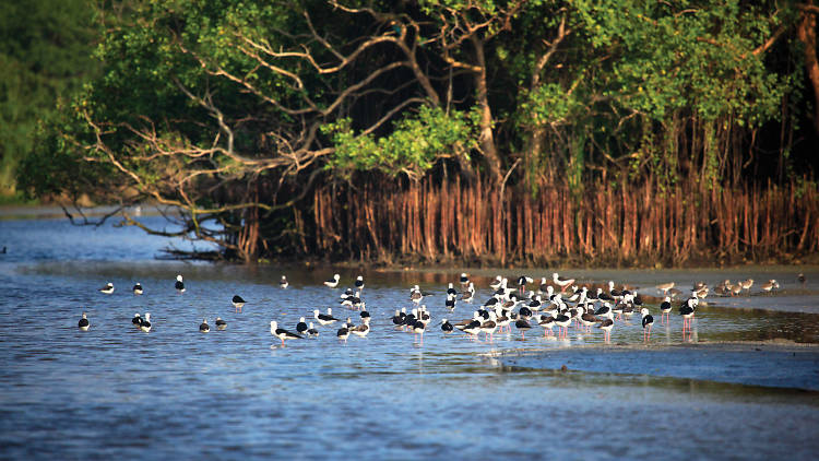 A bird sanctuary located in the Hambantota district
