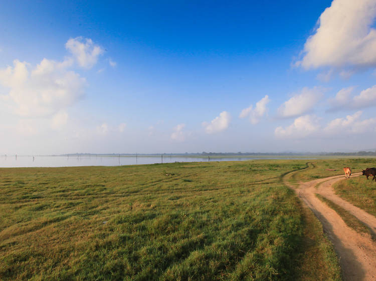 Kaudulla National Park