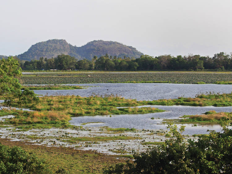 Lahugala Kitulana National Park