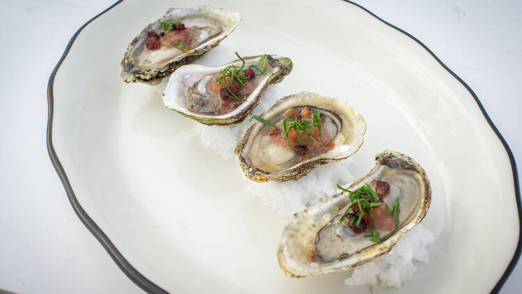 Oysters at Grand Banks