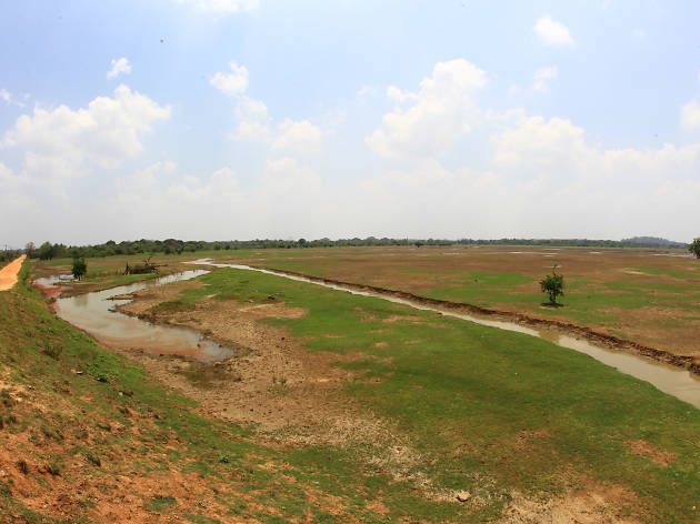 Somawathi National Park Somawathi National Park