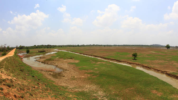 A sanctuary and national park in Polonnaruwa